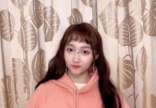 鹿晗反面爆料视频大全最新,背后真相与争议事件大盘点