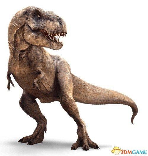 霸王龙最新爆料新闻,揭秘史前巨兽的神秘生活